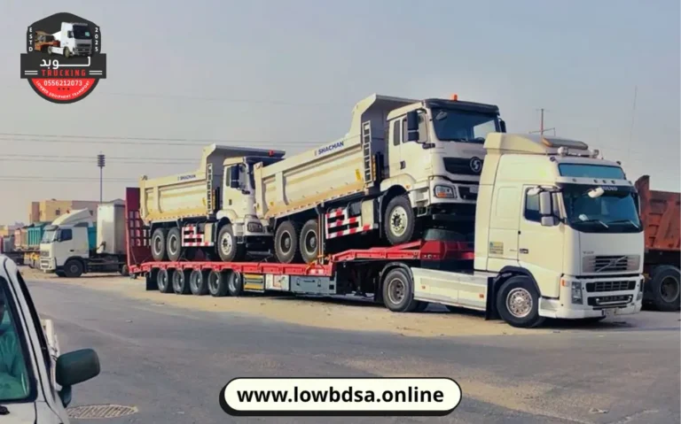 lowbdsa.online (2)